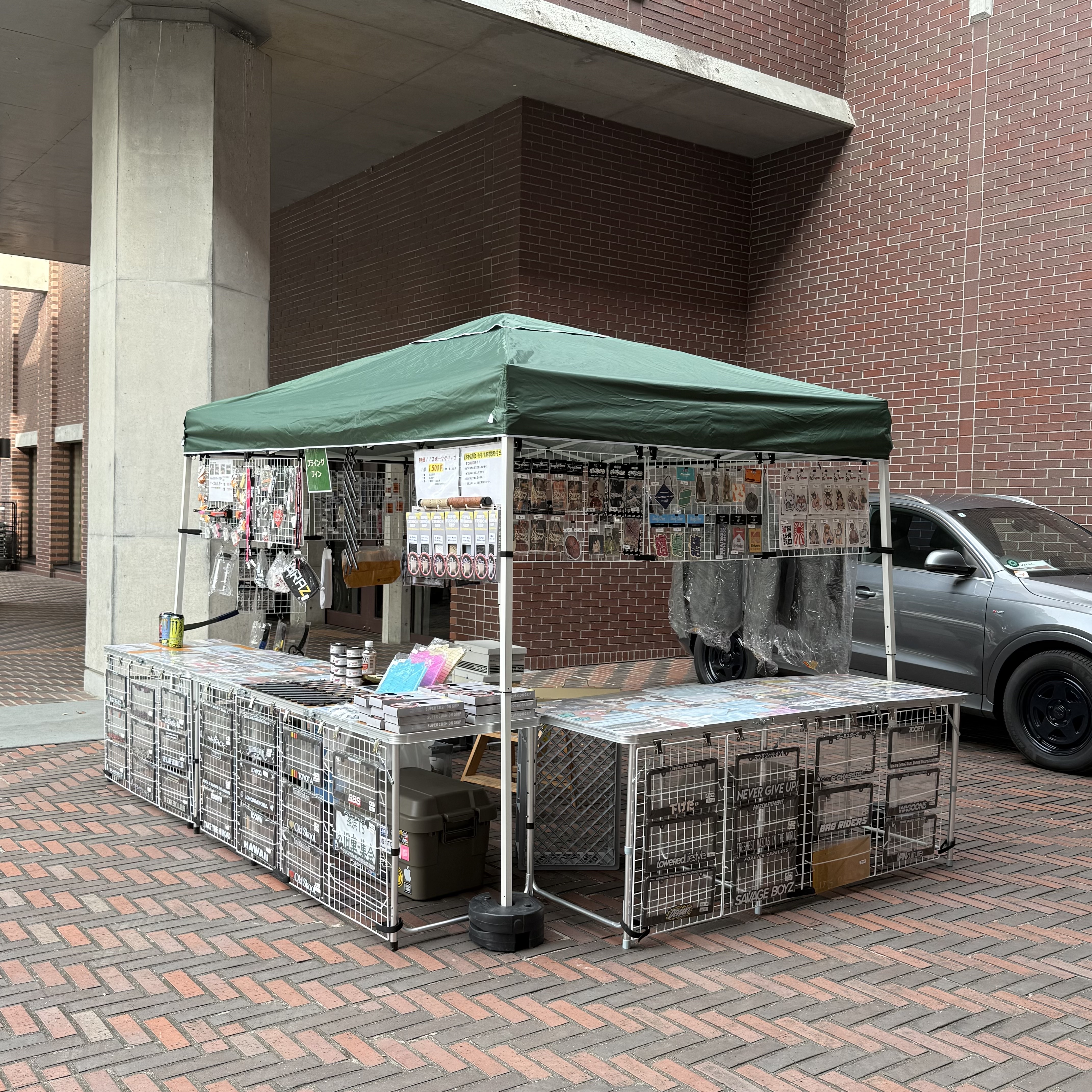 展示画像