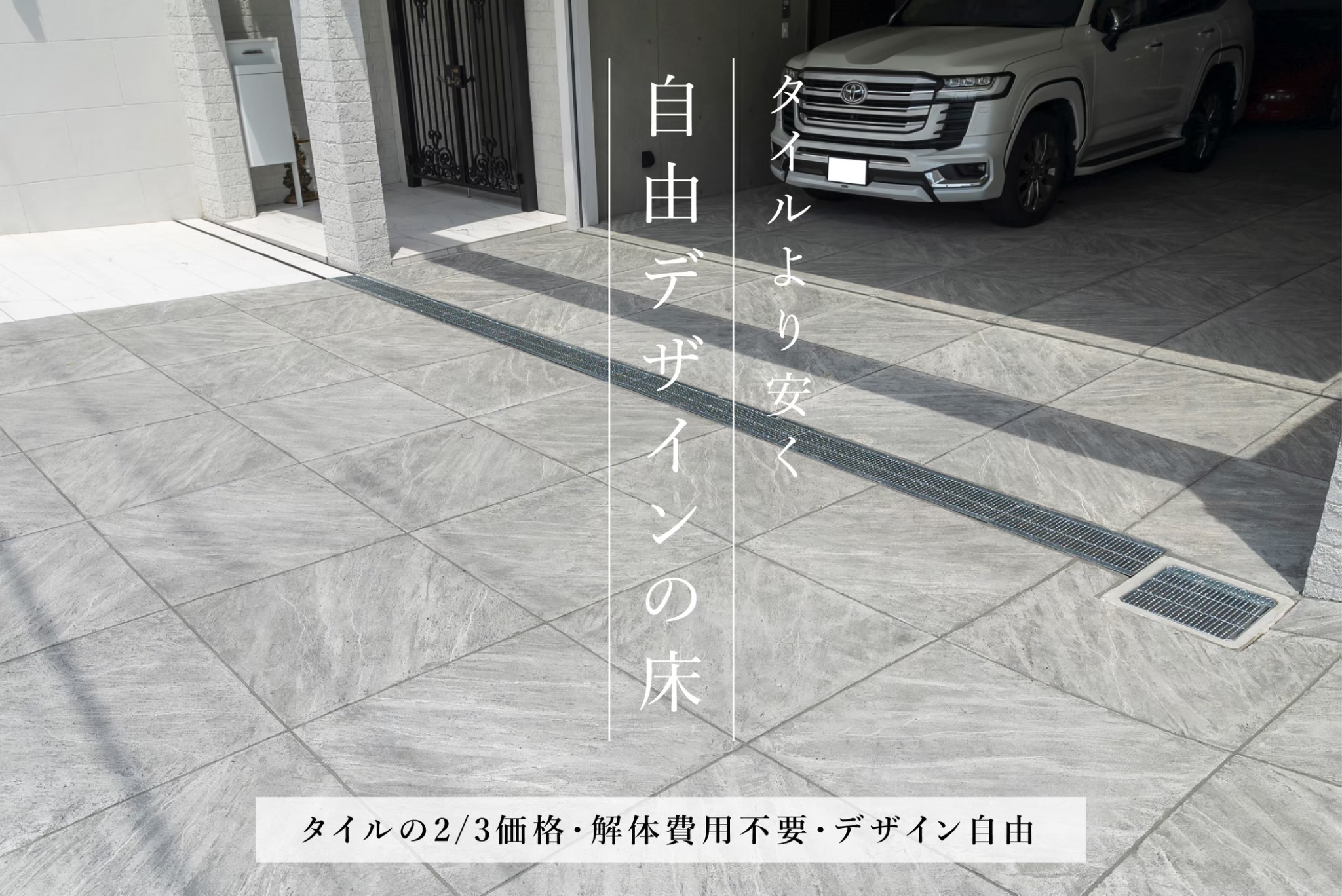 展示画像